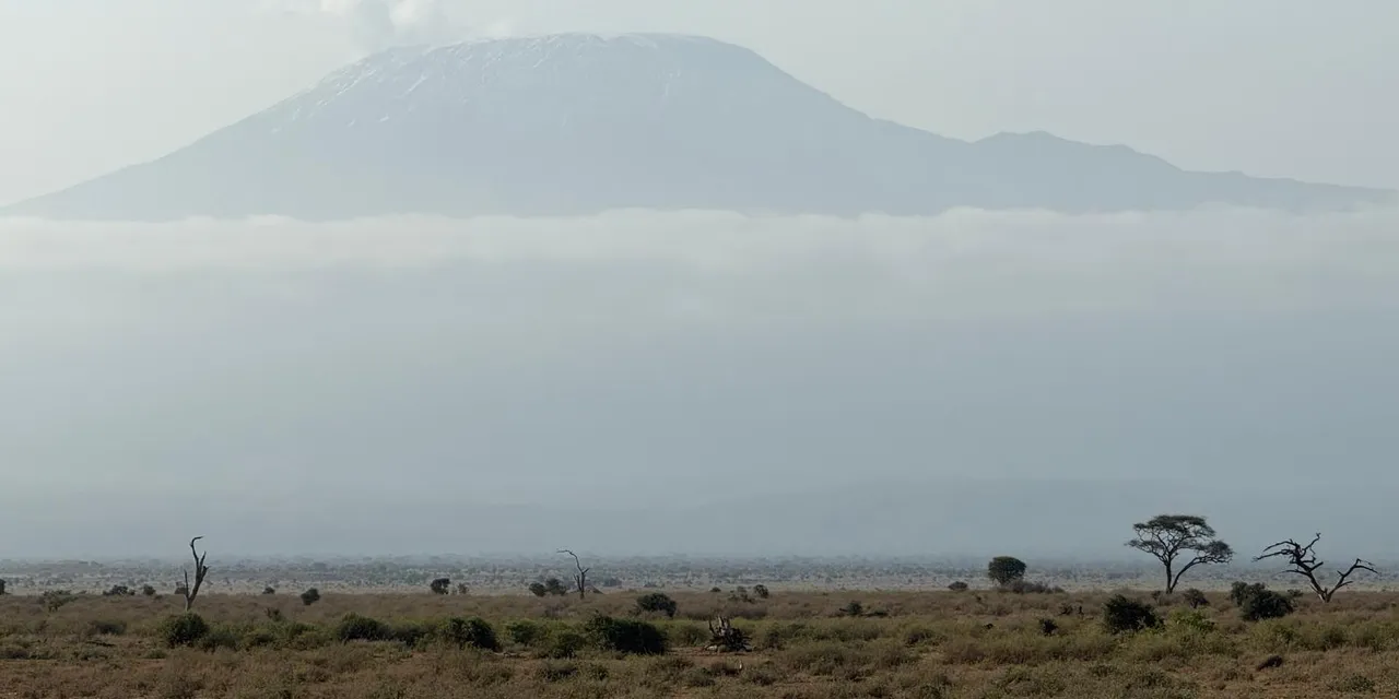 Customized safari adventures across Kenya