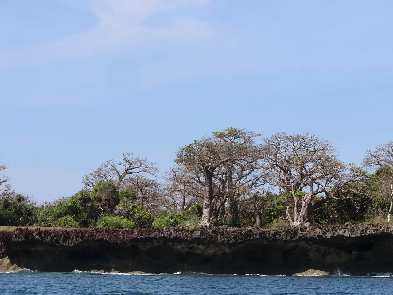 Safari landscape