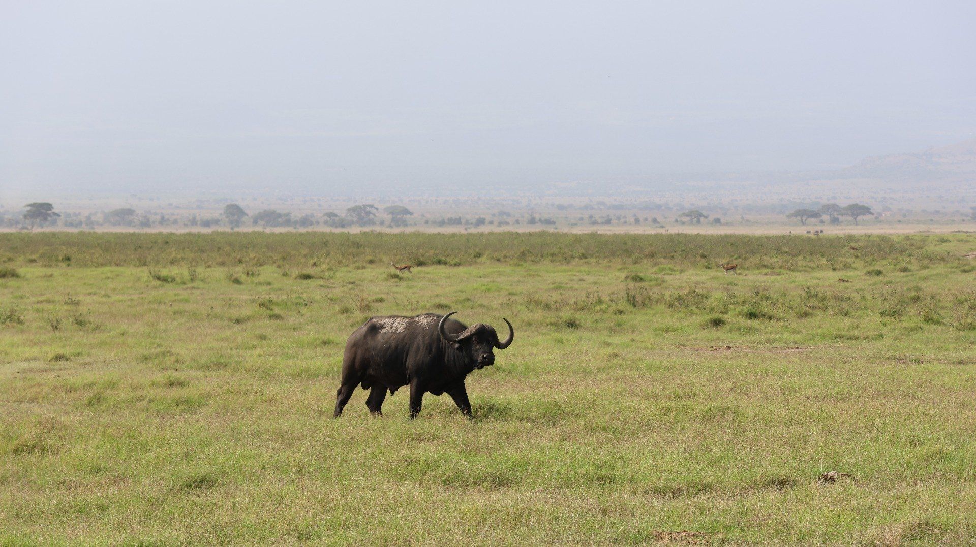 3 Days, 2 Nights Masai Mara Safari Itinerary