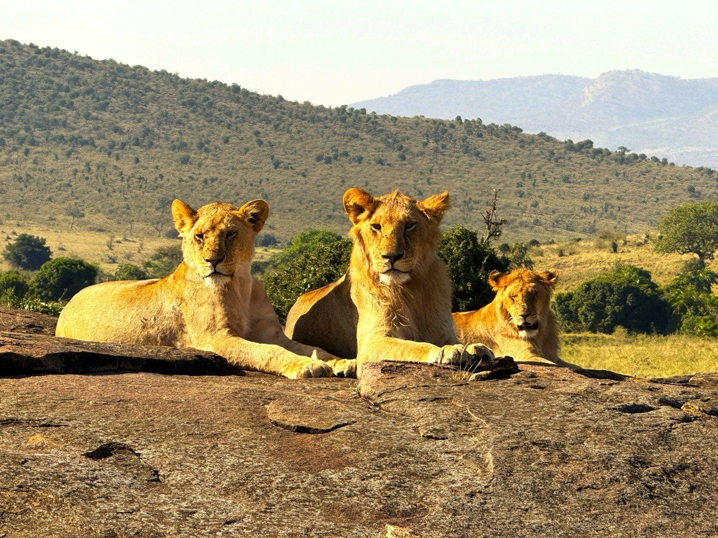 3 Days, 2 Nights Masai Mara Safari Itinerary