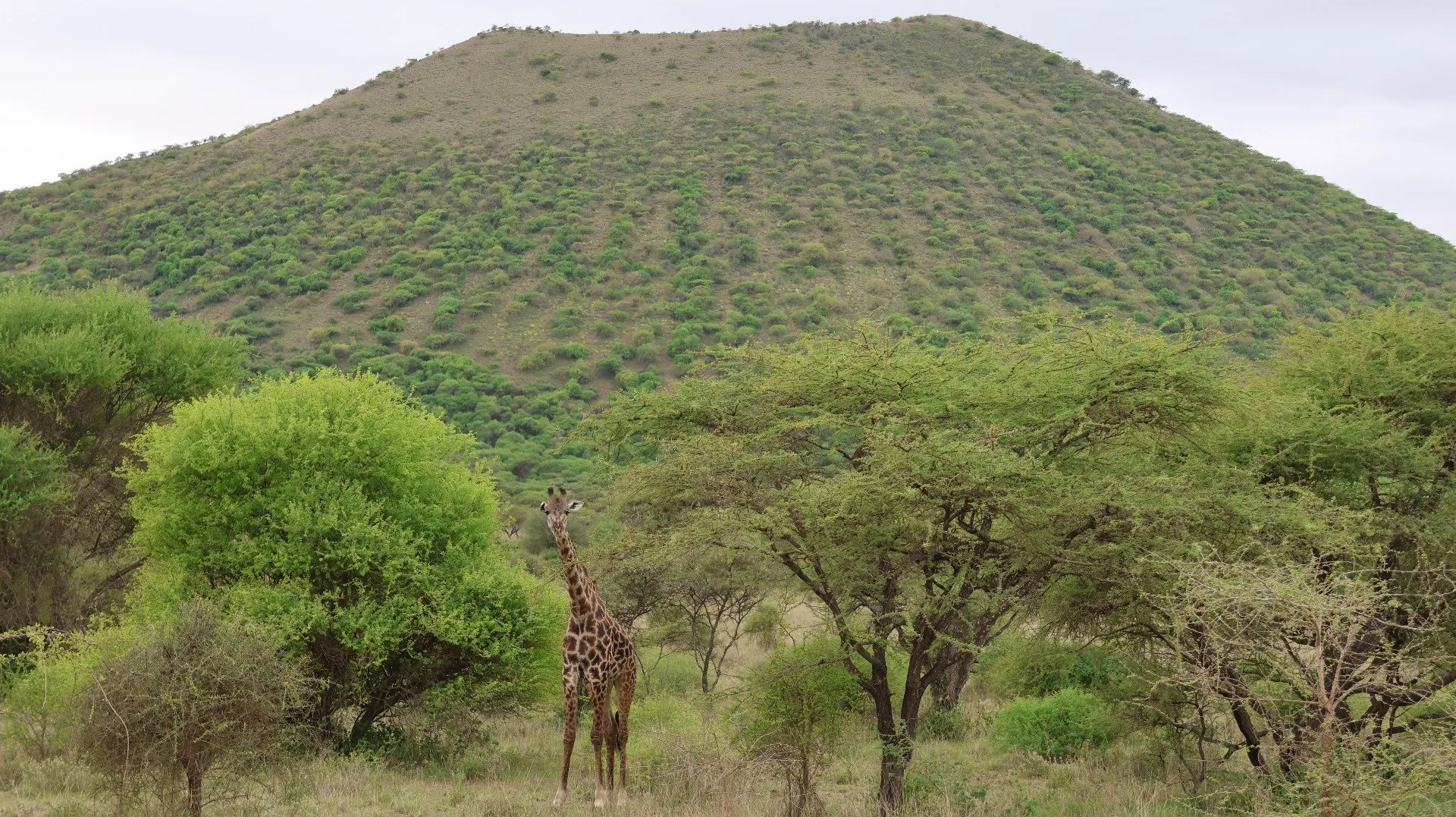 KENYA BEAUTY AWAITS